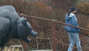 Watch out for that bear Mengzhi
